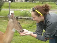 Alley feeding a deer..webp