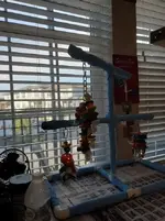 Perch1.webp