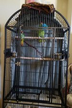 Lunas new cage-edit.jpg