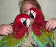 Deb Macaws.jpg