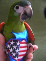 dusty's flight suit may 2011 003.jpg