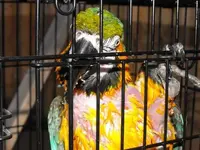 DSCF0009.webp