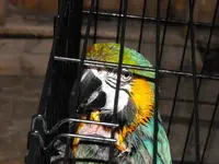 DSCF0011.webp