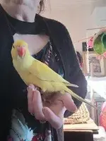 3 and a half months old.webp