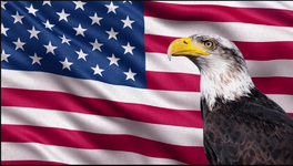 flag and eagle.png