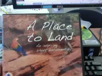 a place to land.webp