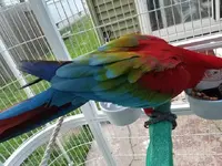 FB_IMG_1633714993424-1.webp