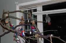 Luigi on new set.webp