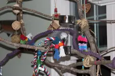 Luigi on new set 2.webp