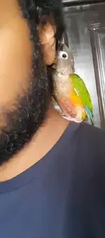 Screenshot_20230516-025505_Video Player.webp