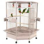 CC4242-AE-AE-Extra-Large-Corner-Cage-61X48X73.jpg