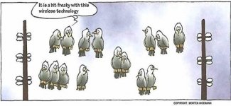 funny bird cartoon wireless technology.jpg