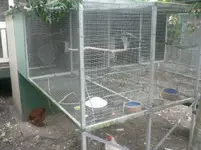 breeding flights.webp