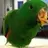 peeko.the.eclectus