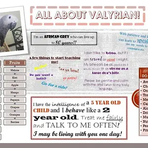 All About Valyrian!.webp