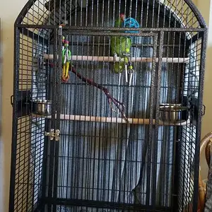 Lunas new cage-edit.webp