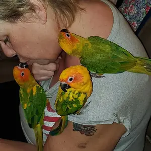 Rio, Cosmo, Mango, and mom!.webp