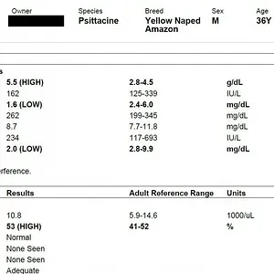 Blood work 1e.webp