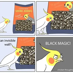 black magic.webp