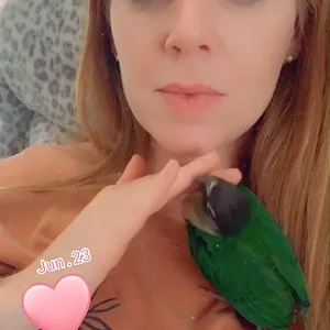 Cuddle bird