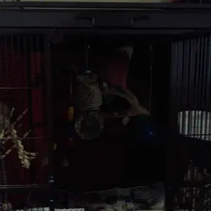 Lina New Cage 3.webp