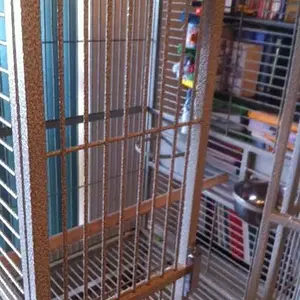 Oliver's Empty Cage!.webp