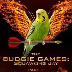 BudgieGames.webp