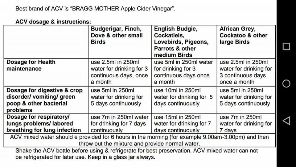 acvdosage.webp