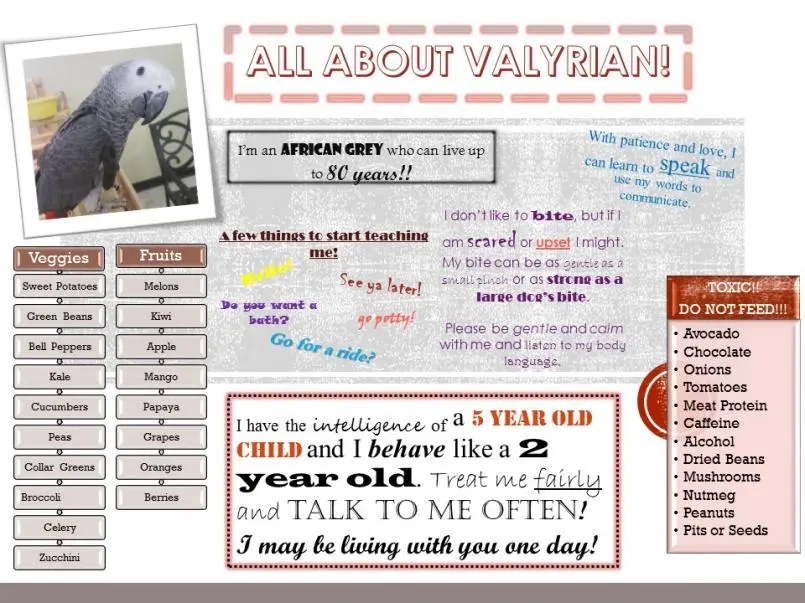 All About Valyrian!.webp