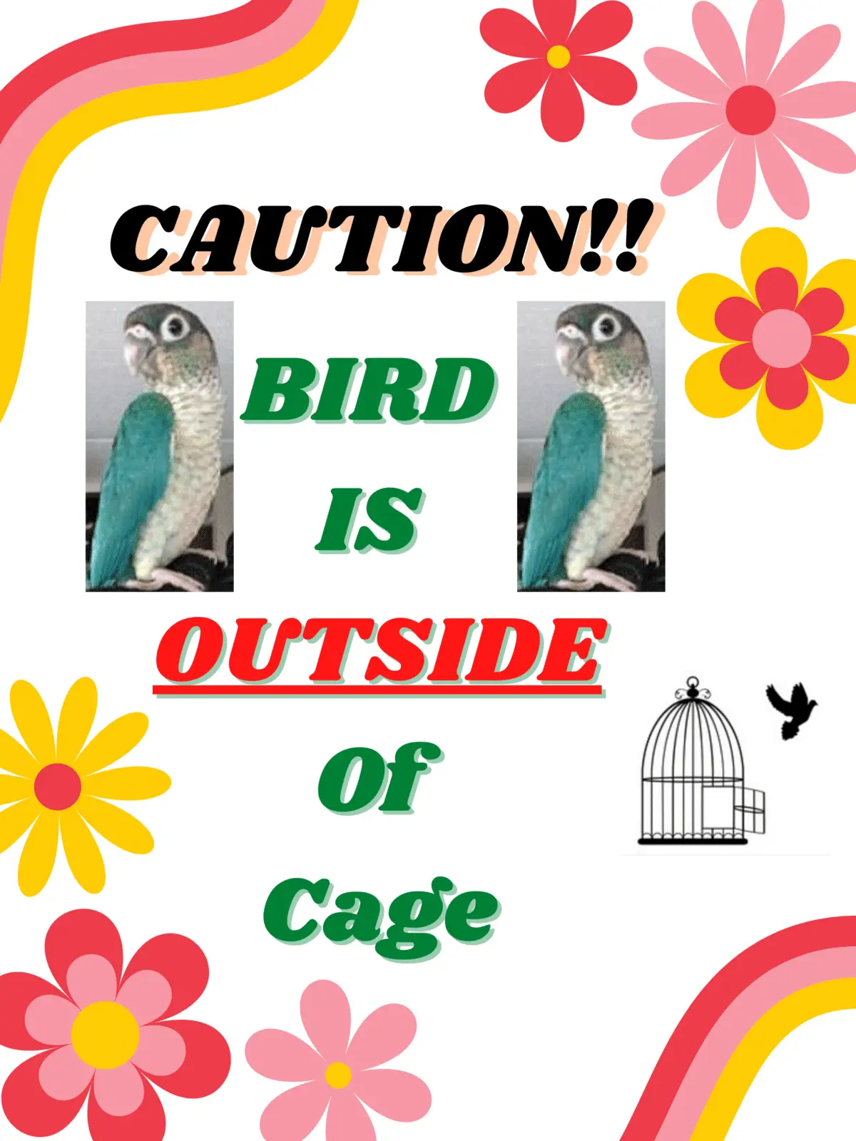 BIRD IS OUTSIDE Of Cage_PNG.webp