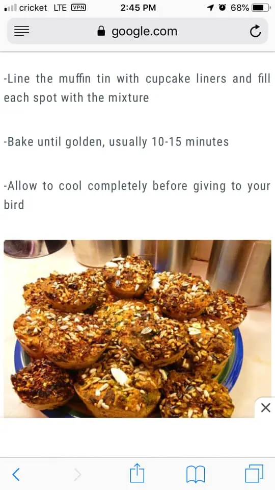 Birdybread3.webp