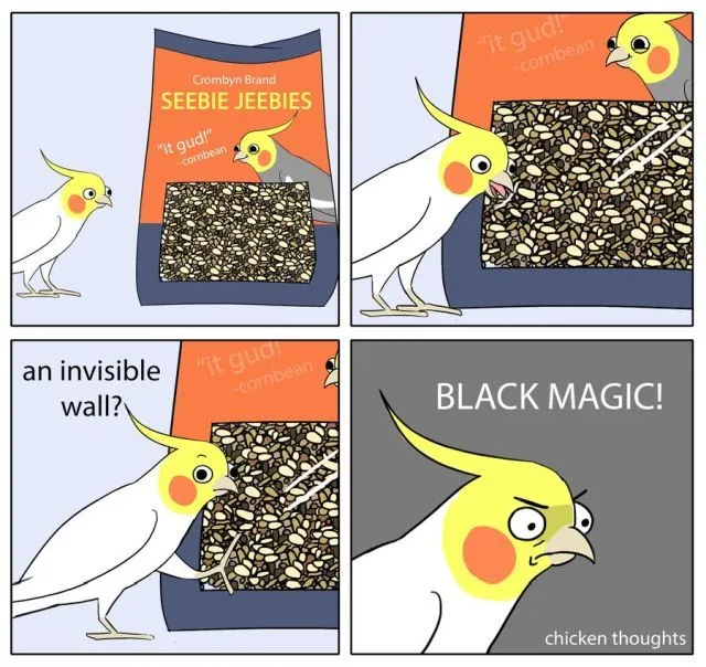 black magic.webp