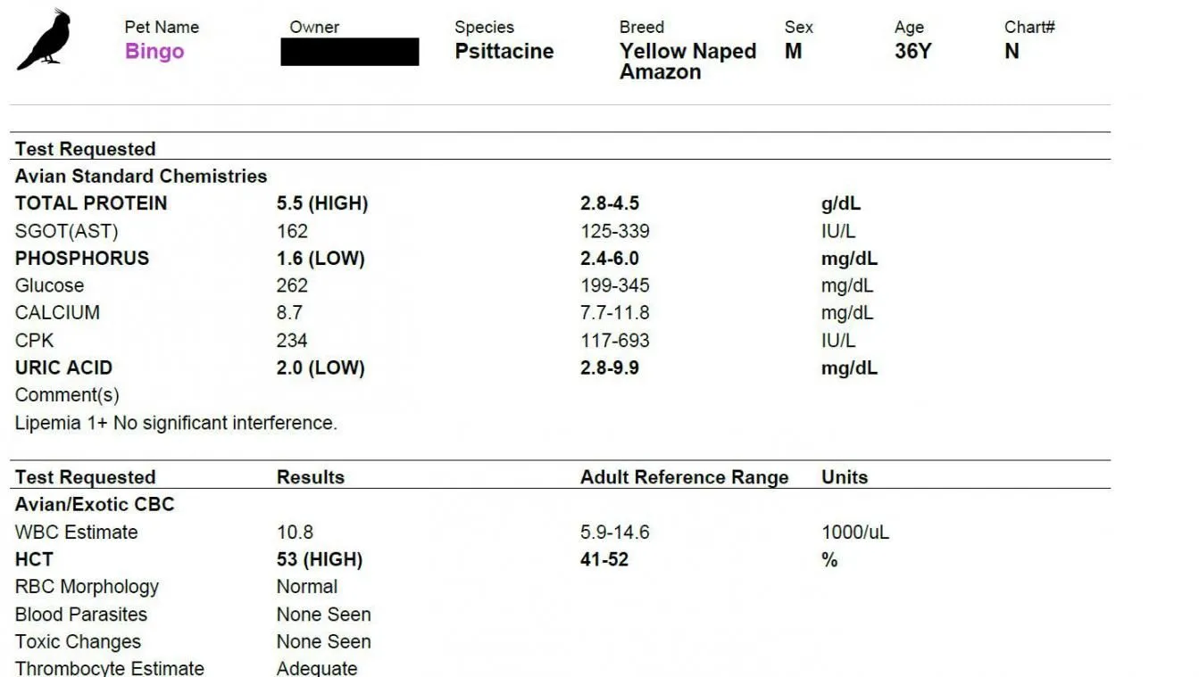 Blood work 1e.webp