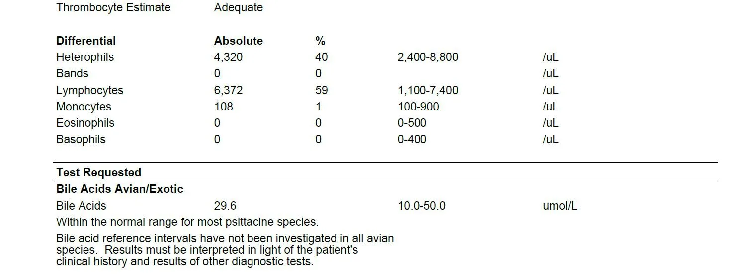 Blood work 2e.webp