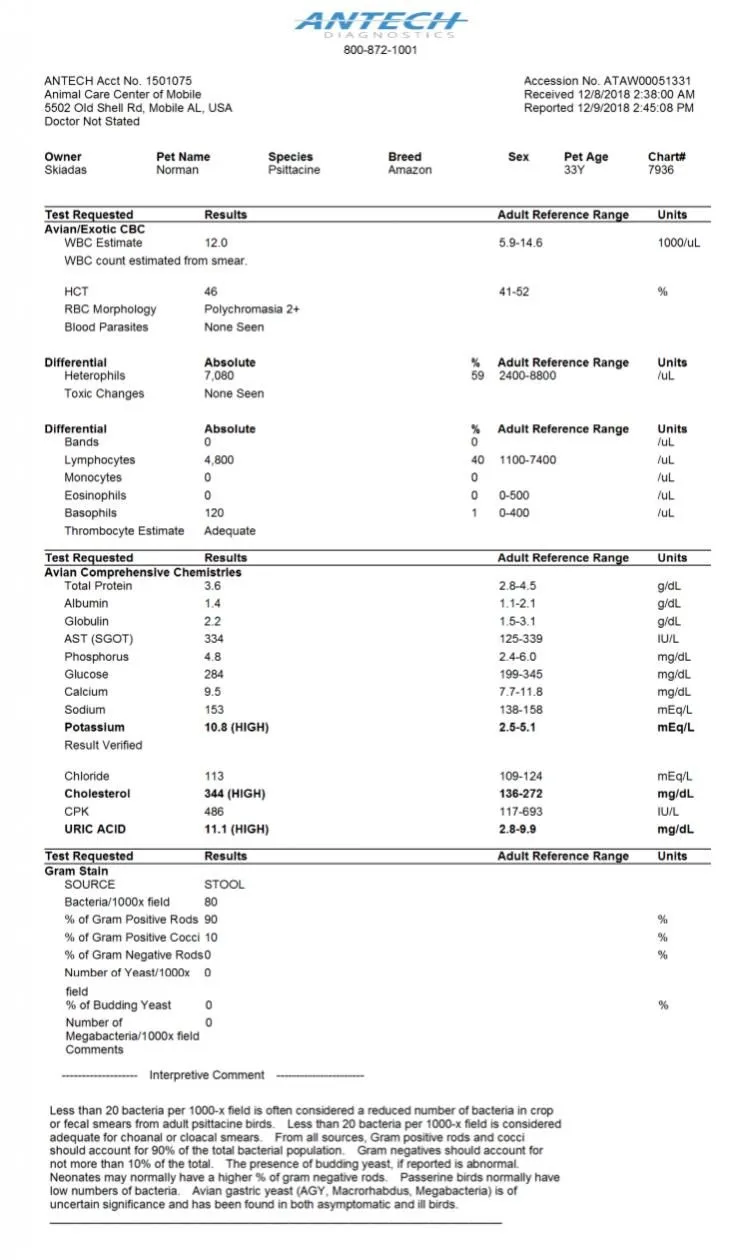 Bloodwork Results.webp