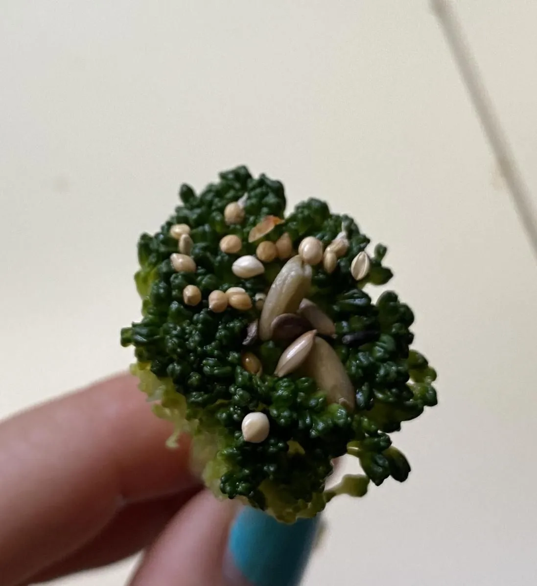 broccoliseed.webp