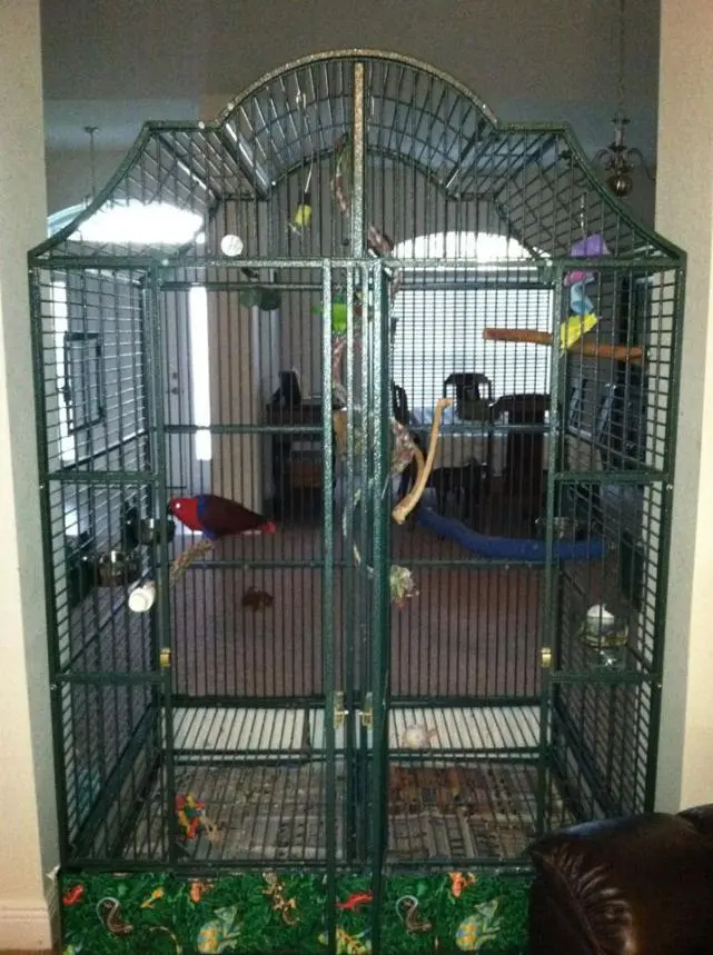 ezzy cage 3.webp