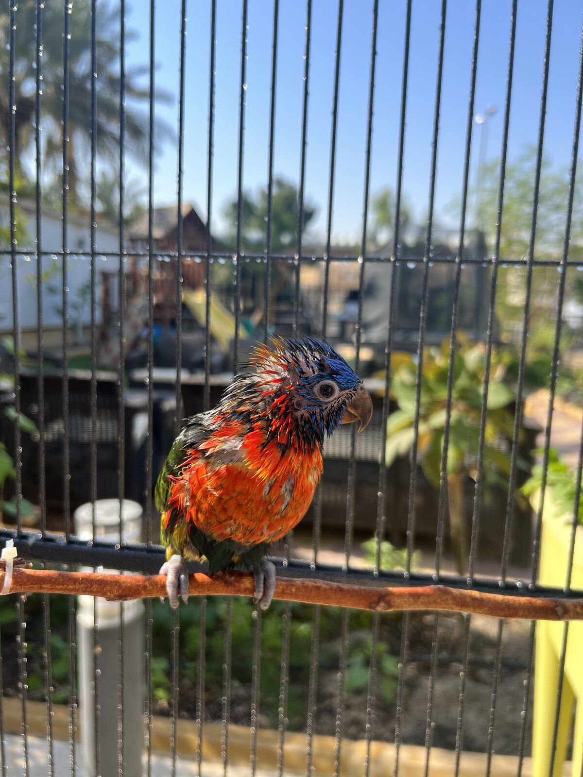 First shower