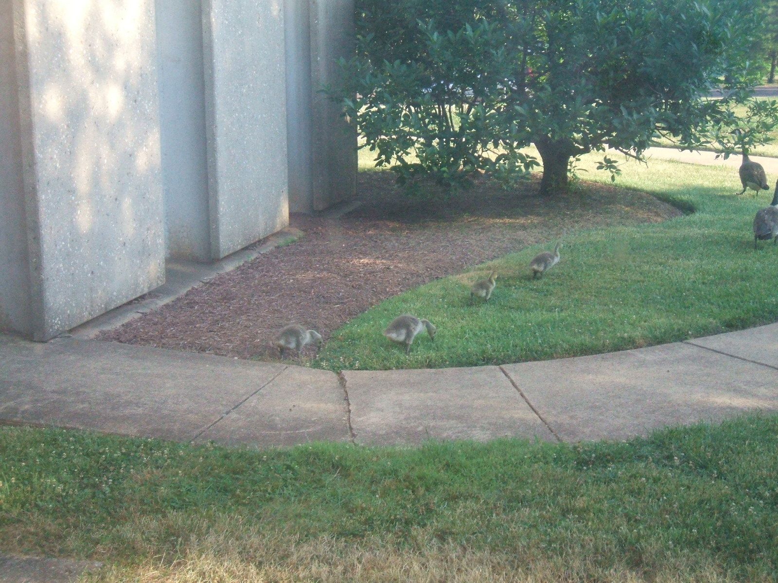 Outside my Office