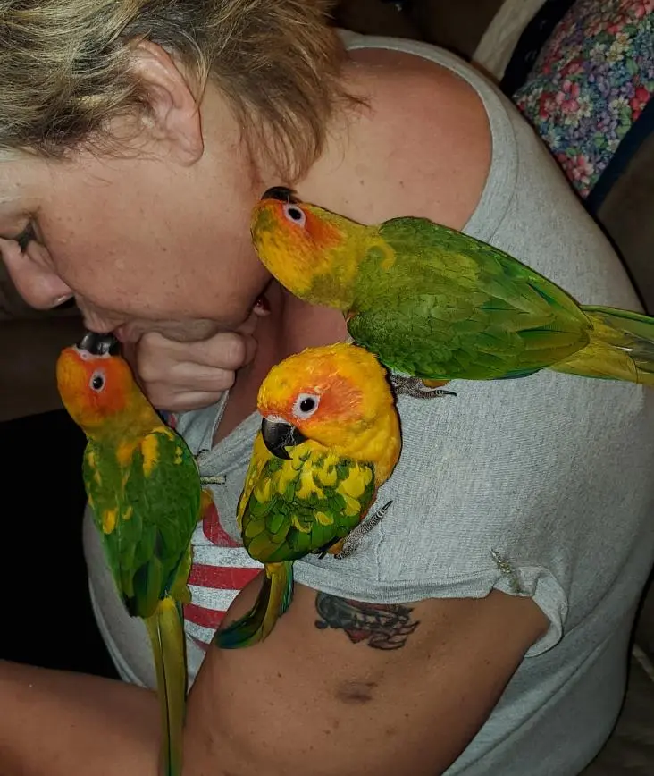 Rio, Cosmo, Mango, and mom!.webp