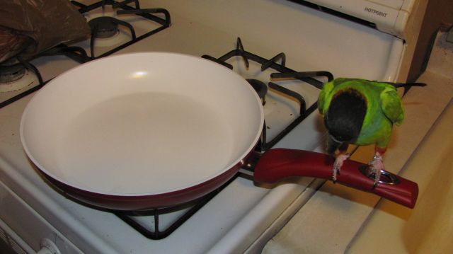 Tuco's New Eco-pan