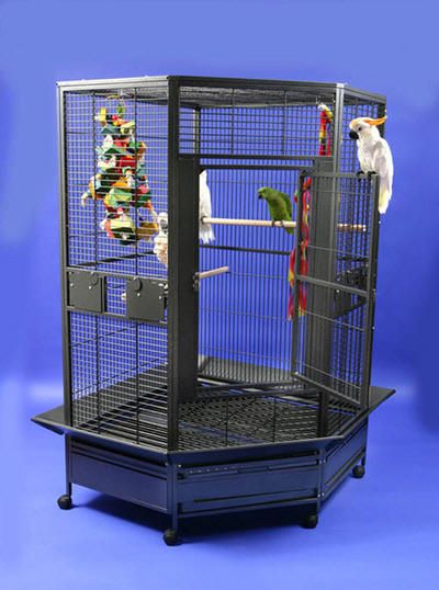 parrots-escape-jumbo-corner-cage.jpg