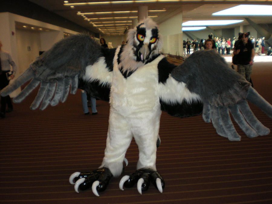 AC_2010_Fursuiter_3_by_Skyfirefox.jpg