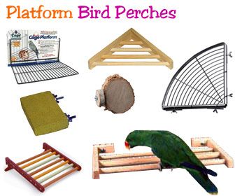 bird-cage-shelf-perch.jpg