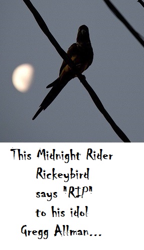 1ElKNtc.jpg