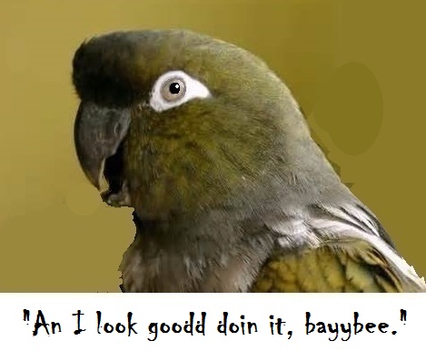 HMnEWuU.jpg