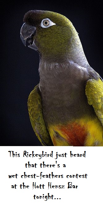 jcZJDbA.jpg