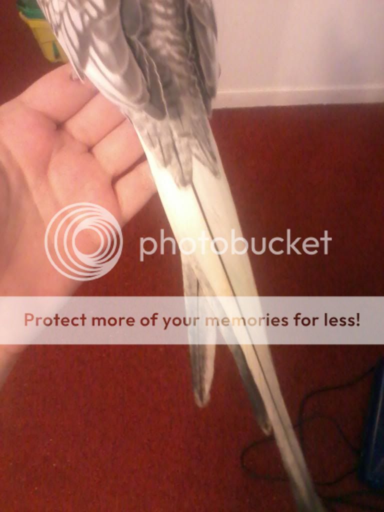 2013-06-24163943.jpg