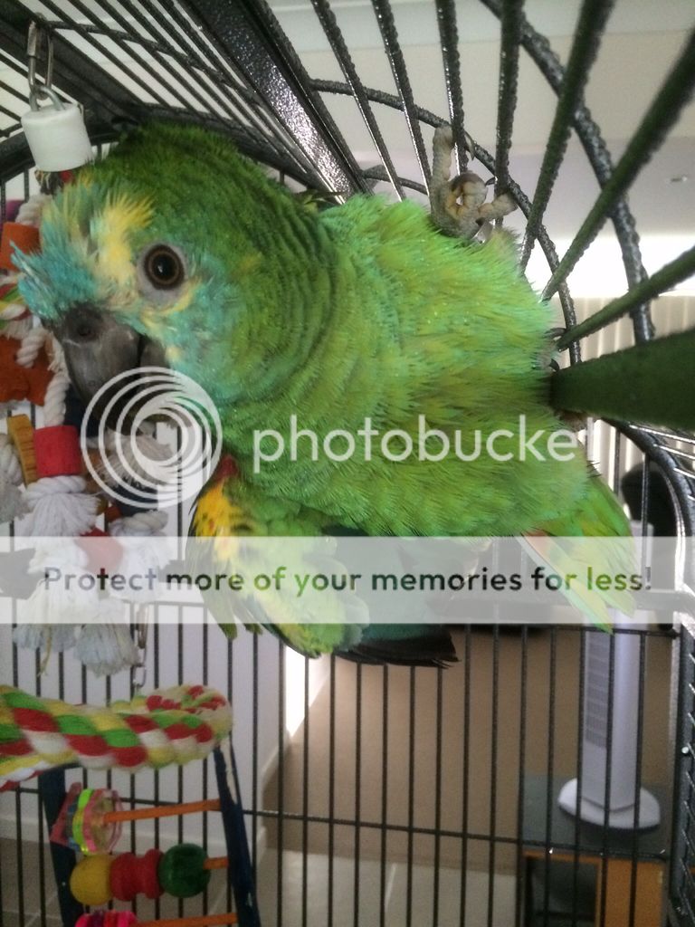 35a124e66f896b9b1d9972a7b12b06df_zpsz0o6qbic.jpg