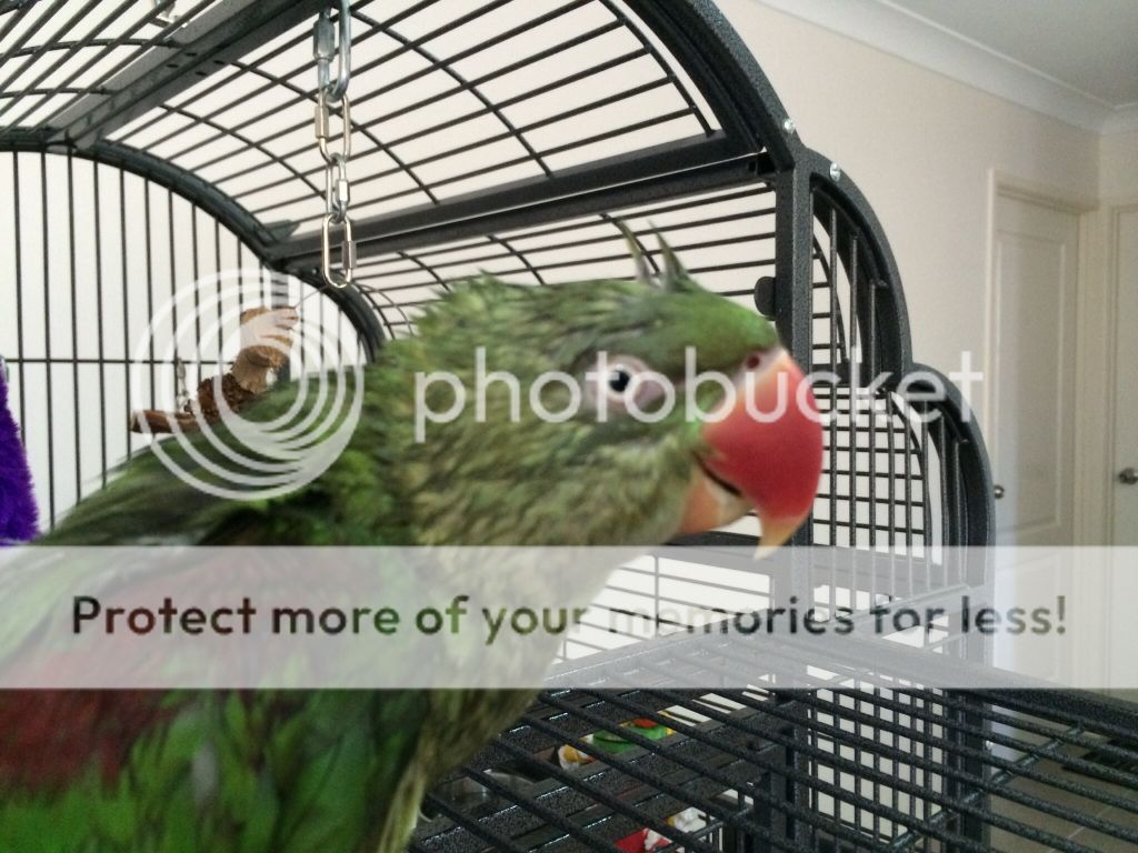 4db2d1913f9865409d003e25c6f9a3e9_zpsd6b172db.jpg